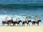 Horse riding Horse riding